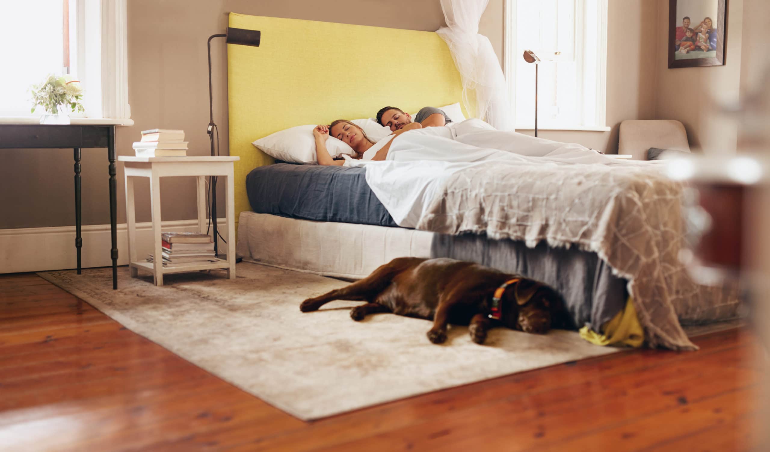 Junges Paar schlafen bequem auf dem Bett mit Hund auf dem Boden