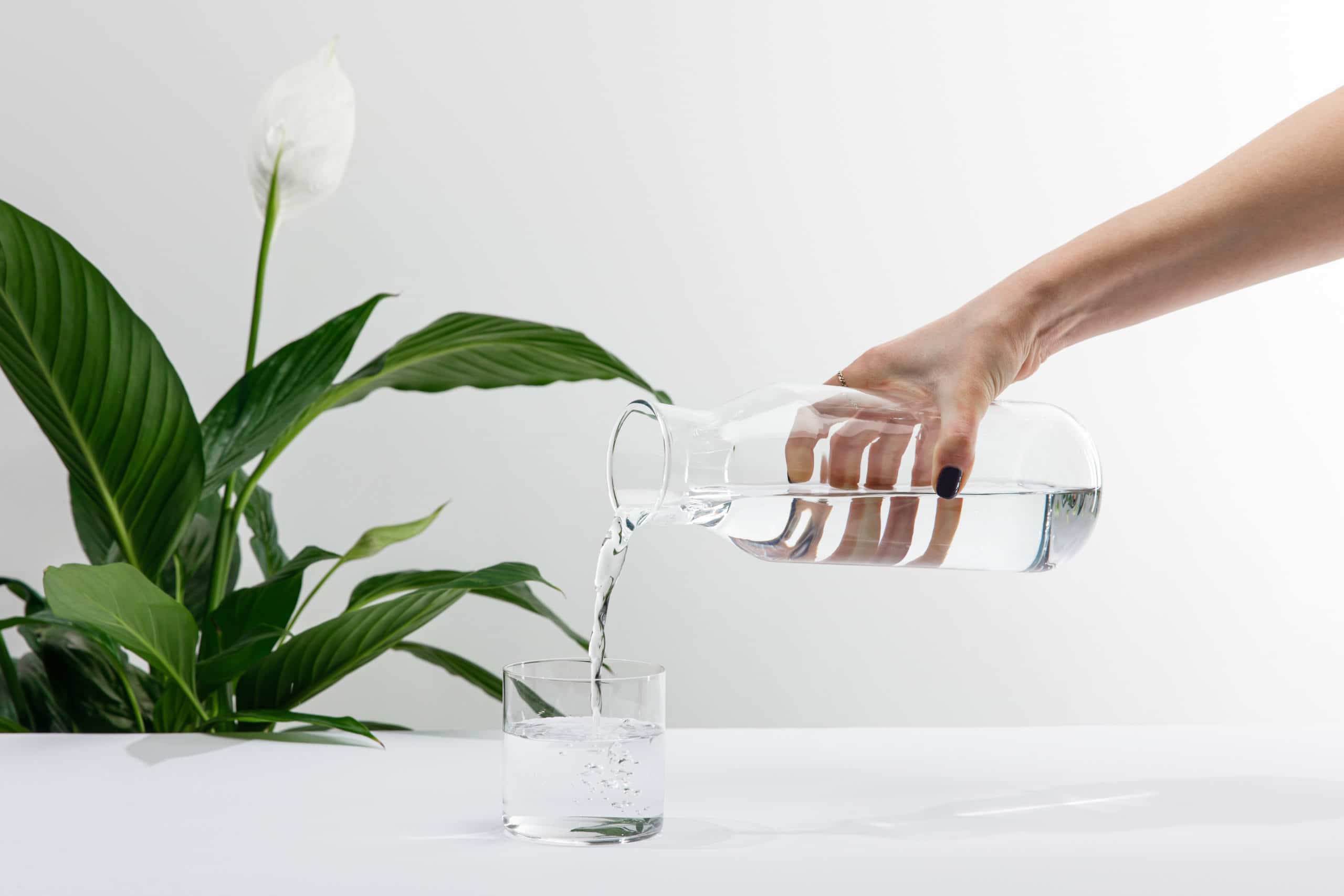 Ausschnitt einer Frau, die Wasser aus einer Flasche in ein Glas neben einer grünen Friedenslilie gießt