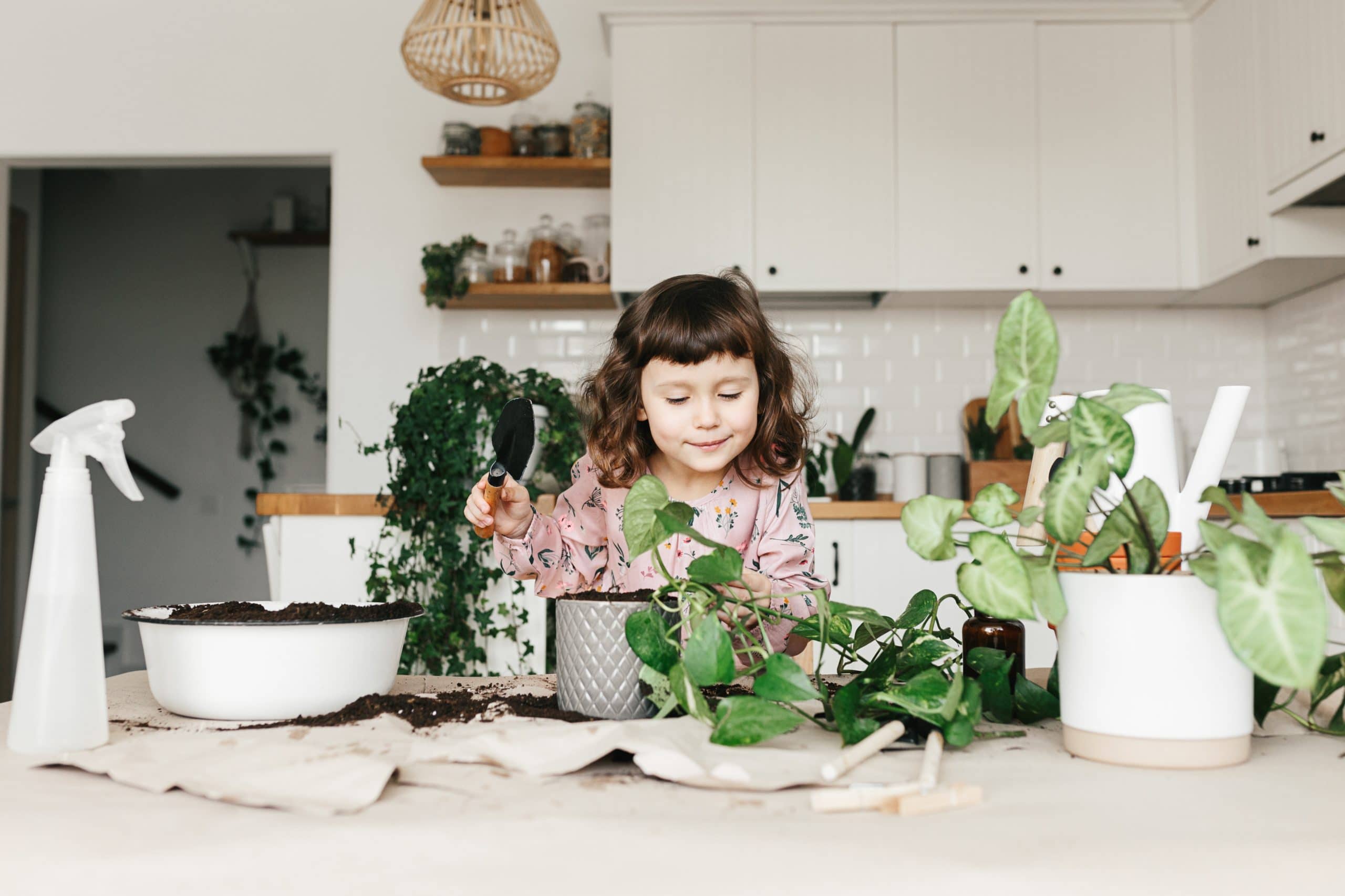 Entzückendes 5-jähriges Kind Mädchen pflanzt zu Hause eine Pothos-Zimmerpflanze