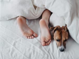 Mann im Bett mit Hund