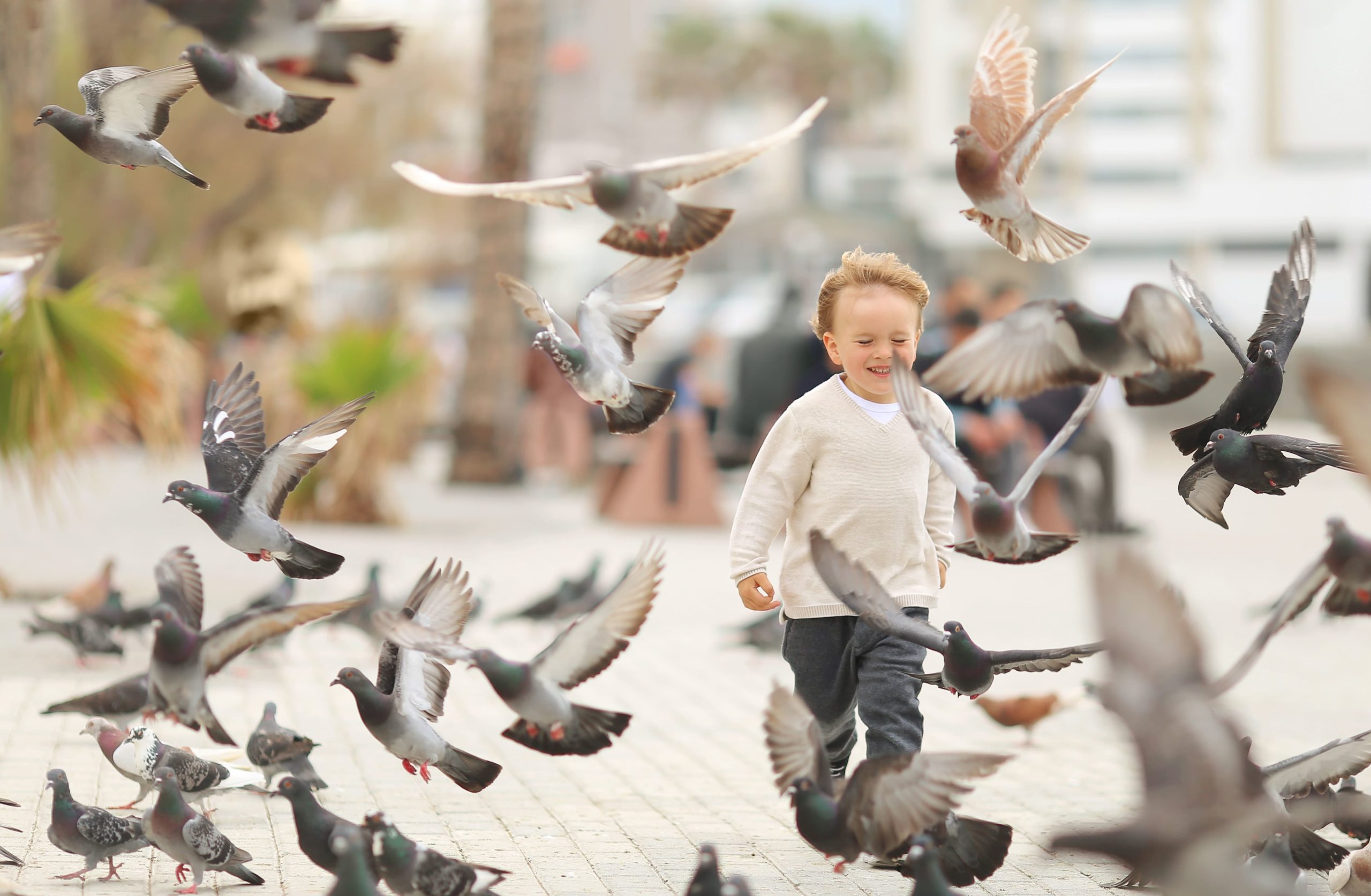 Kleiner Junge rennt in der Nähe von Tauben